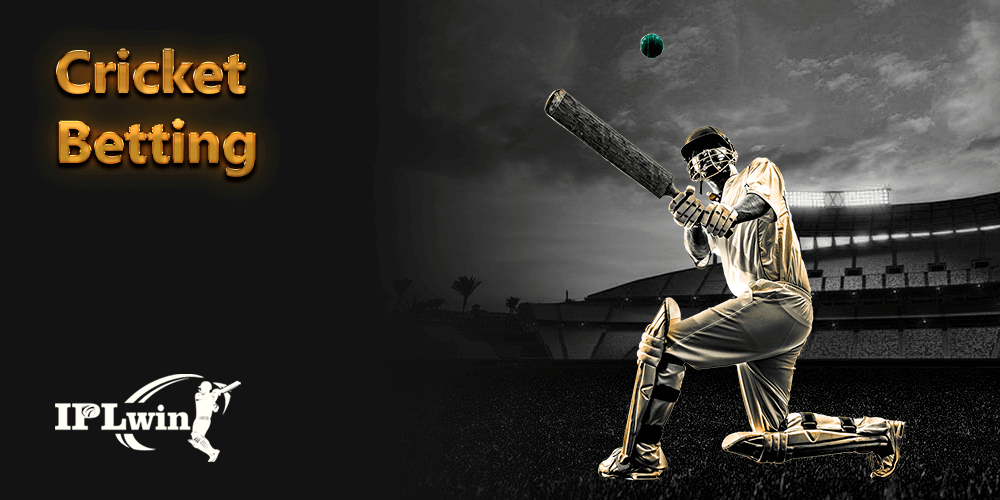 Mybet casino