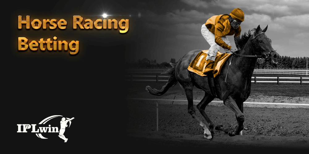 Wildbet777 io