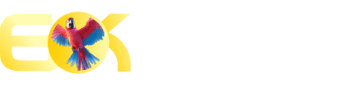 Bwin scommesse - 8gbet